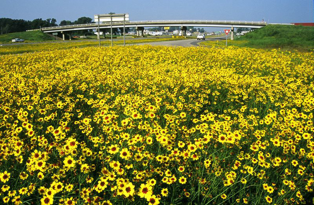 interstate_30___pulaski_county