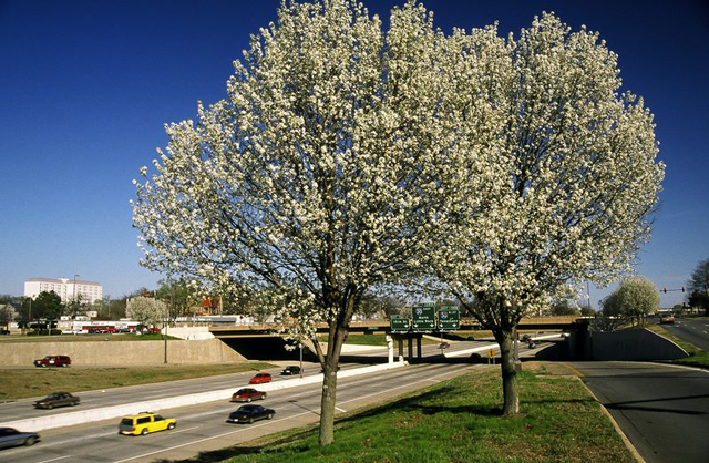 interstate_430___pulaski_county