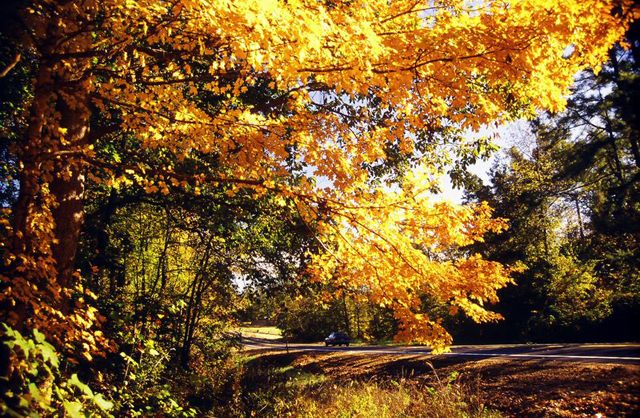 scenic_state_hwy__284___st__francis_county