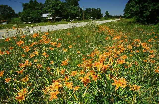 state_hwy__157___independence_county1_30_