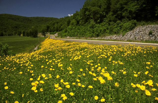 state_hwy__215___franklin_county1_30_