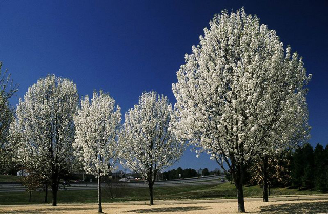 u__s__hwy__270__garland_county1_30_