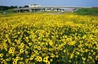 interstate_30___pulaski_county