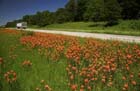 interstate_40___johnson_county1_30_
