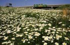 interstate_430_630__pulaski_county1