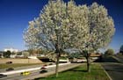 interstate_430___pulaski_county