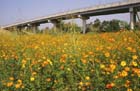 interstate_440___pulaski_county