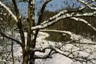 mt__home__snow_hwy_