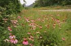 state_hwy__123___newton_county