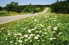 state_hwy__157___independence_county