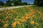 state_hwy__157___independence_county1_30_