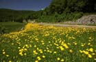 state_hwy__215___franklin_county1_30_