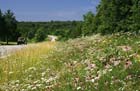 state_hwy__58___sharp_county