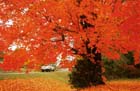 state_hwy__74___searcy_county