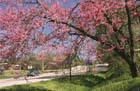 u__s__scenic_hwy__62___carroll_county