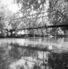 10631 - Illinois River Bridge