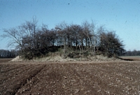 Native American Mound