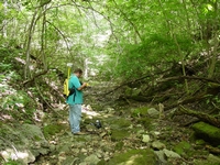 Robert Reed uses a Trimble ProXR Global Positioning System (GPS) receiver to collect data about a creek bed for a job near Harrison