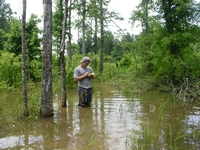 Mike Burgess using a Trimble GeoXT handheld GPS receiver to aid in a wetland study