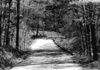 ar103_marble_bridge_lake_lucerne_bridge10955_01_small.jpg