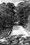 ar103_marble_bridge_lake_lucerne_bridge10955_02_small.jpg