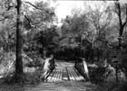 AR-81_DeGray_Creek_Bridge_(11085)_08